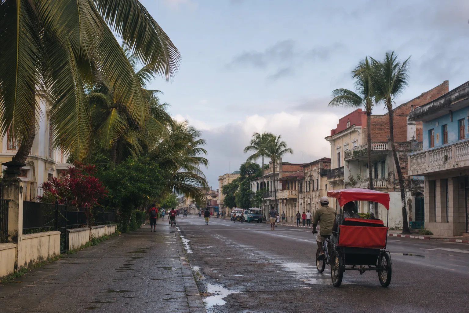 Rue arborée de Toamasina après la pluie