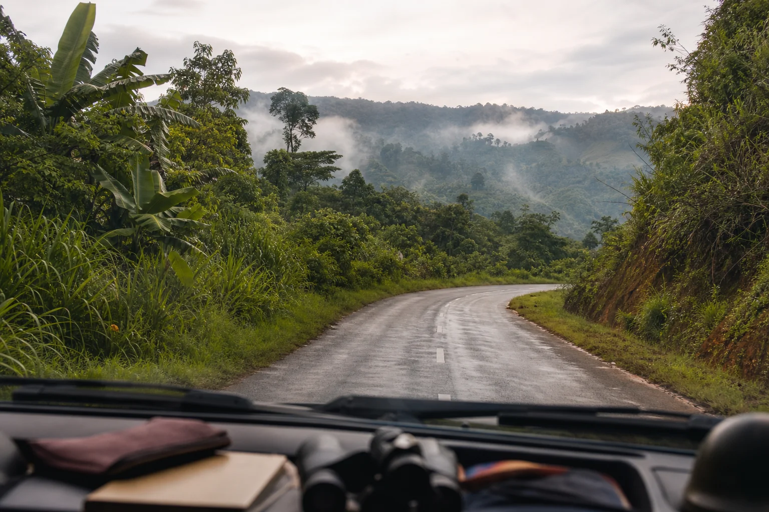 Route humide dans un relief tropical sur le trajet vers Toamasina